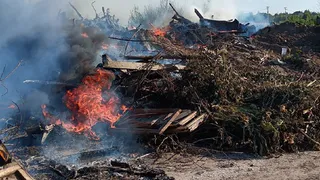 В александровском районе загорелась свалка