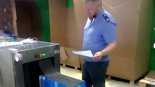 Через Брянскую область не пустили 2,2 тонны зарубежных посылок