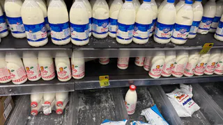 Рязанцы скупили 11 тонн мяса и молочки на ярмарке выходного дня