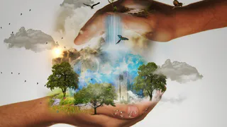 За полгода в РТ выявлено и устранено 3 тысячи экологических нарушений