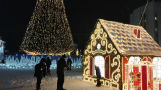 Рязанцев ждут фестивали и гуляния на Новый год