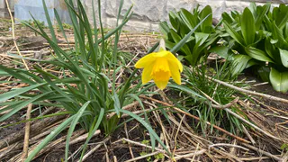 В Чувашии 8 мая будет прохладно и дождливо