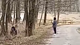 Трэш-стримеры расстреливали уток в Навле