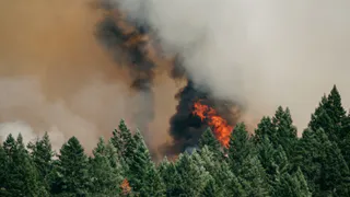 Рязань готовится к летним пожарам