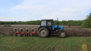 Аграрии Коми активно запасаются семенами для нового сезона