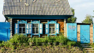 Одно из самых популярное растений у дачников теперь запретили выращивать: новое правило с мая