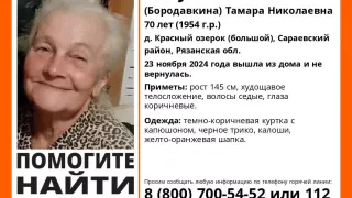 Волонтеры рассказали о поисках пенсионерки: «Прошли более 300 километров»