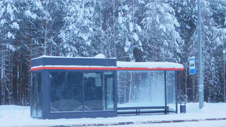 В Чебоксарах несовершеннолетнего принудительно высадили из троллейбуса в мороз