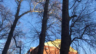 В Рязани на месте расселенного частного сектора на Московском появятся многоэтажки