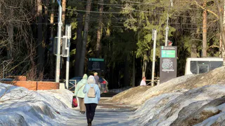 Почему одни русские фамилии оканчиваются на "ов", а другие - на "ин". Что это означает на самом деле