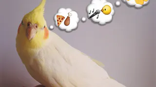 Еженедельная рубрика Instagram: на кого подписаться в Рязани?