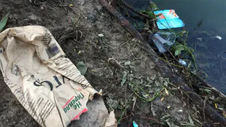 Рязанцев приглашают на уборку Борковского карьера