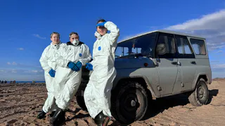 Студентки из Пензы принимают участие в устранении последствий разлива нефти в Анапе