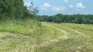 Чувашия делает ставку на рост логистики и промышленности