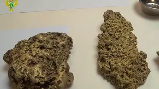 Магнитогорские кладоискатели отправятся в тюрьму за нелегальную добычу драгоценных металлов