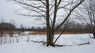 Левая нога через порог — и деньги уйдут: что нельзя делать в Тимофеев день 4 февраля