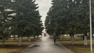 9 октября в Рязанской области ожидается туман и до +12