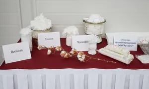 В Рязанской области будут выпускать вату