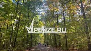 В области ввели из-за жары противопожарный режим