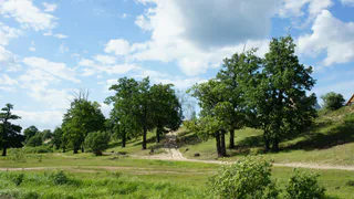 Прогноз синоптиков – какую погоду ждать рязанцам в начале недели