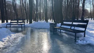 Погода на завтра: в Рязани потеплеет до +10 градусов