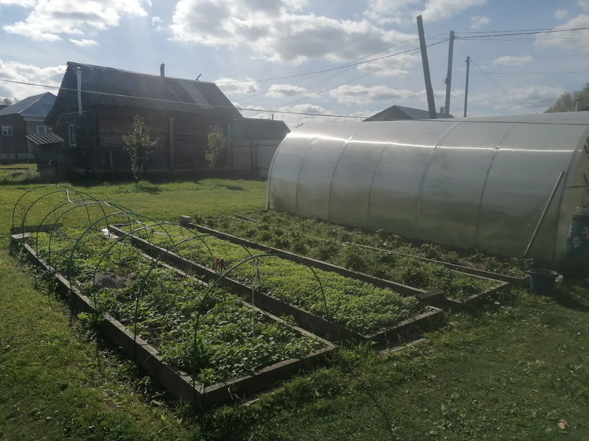 Лунный календарь на февраль 2025 года для дачников: когда начинать сажать лук, баклажаны, клубнику и прочее