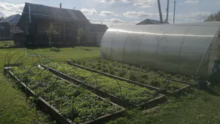 Лунный календарь на февраль 2025 года для дачников: когда начинать сажать лук, баклажаны, клубнику и прочее