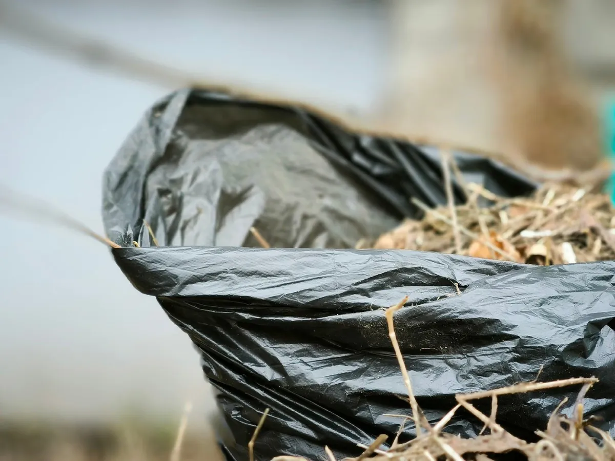 Текслер призвал начать субботники в Челябинской области