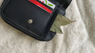 Лавровый лист всегда держу в кошельке - и всем советую: вот как это действует