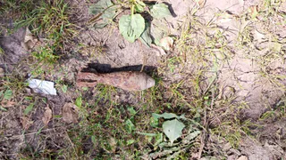 Взрывоопасный предмет времен ВОВ найден в Севском районе.