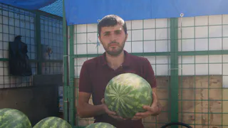 Где в Рязани можно купить арбузы. Адреса легальных палаток