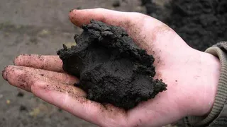 С 10 октября в Рязанской области введен режим ЧС из-за переувлажнения почвы