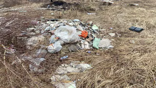 В Чувашии собственник превратил сельхозземли в свалку