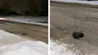 Рязанские водители жалуются на провалы грунта в городе