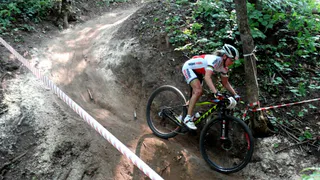 В Чебоксарах спроектировали трассу маунтинбайка длиной 5,5 км