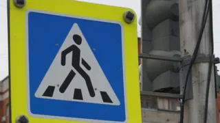 “Посмотри по сторонам”: активисты вместе с Госавтоинспекцией провели акцию