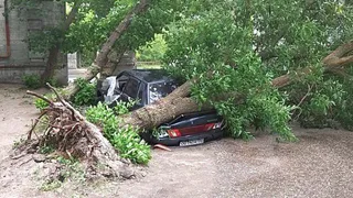 Снова ураган? В Рязанской области продлили штормовое предупреждение