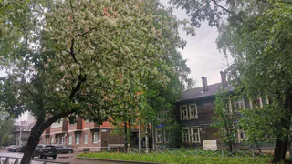 30 мая принесет в Коми жару, дожди и грозы