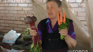 Морковь сразу начинает расти: в начале июля полейте грядку этим раствором — первый шаг к урожаю