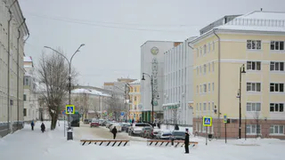 28 января в Коми ожидаются порывистые течения воздуха и снег