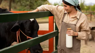 Ковровский район приглашает на «День молока»