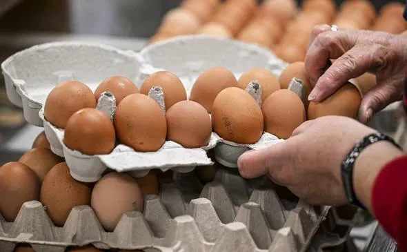 Пасха показала, что яйца становятся не по карману россиянам