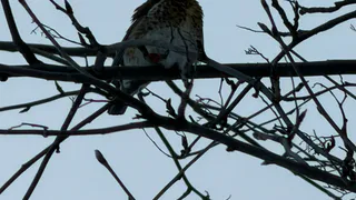 Сенатор Аноприенко поддержал идею создания Экологического совета на Рязанщине