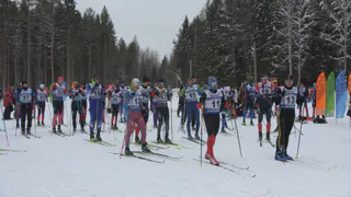Около сотни спортсменов приняли участие в "Новогодней лыжной гонке"