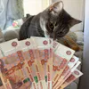 Обладатели знака ГТО в Брянской области имеют ряд льгот