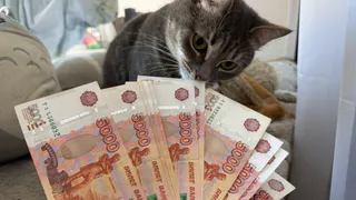 Рязанская область увеличивает поддержку семей