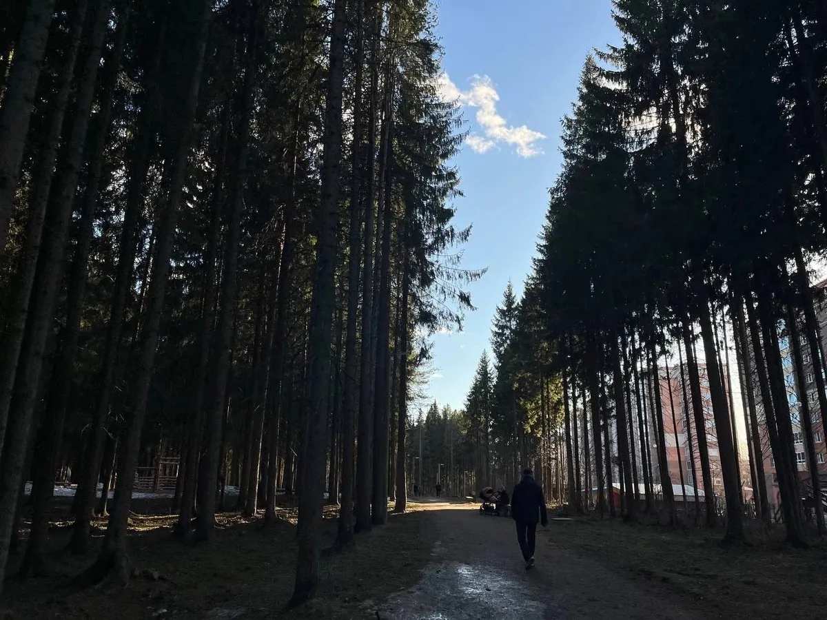 Тельцам повезёт: Тамара Глоба предсказала удачу во второй половине 2025 года