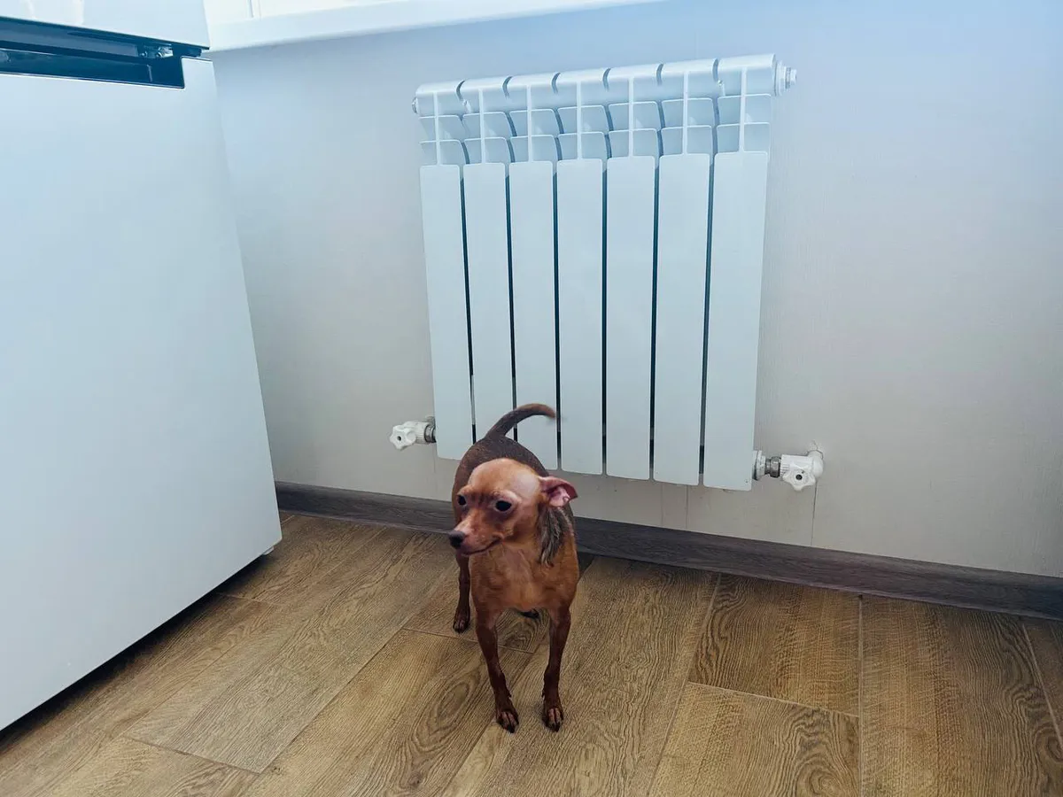 Почти 800 многоквартирных домов Пензы обеспечили теплом