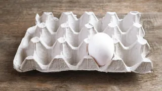 Ушлые дачники лотки от яиц не выбрасывают — копят их всю зиму: Три способа использования на участке