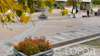 Пензенские льготники смогут поправить свое здоровье в санаториях бесплатно